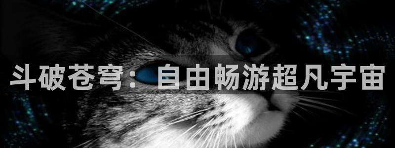 51漫画安卓软件下载