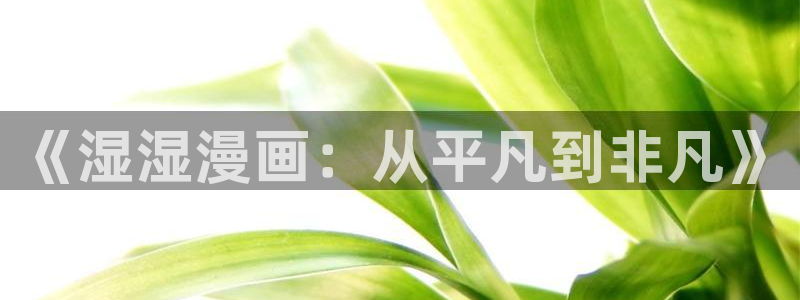 51漫画黄版