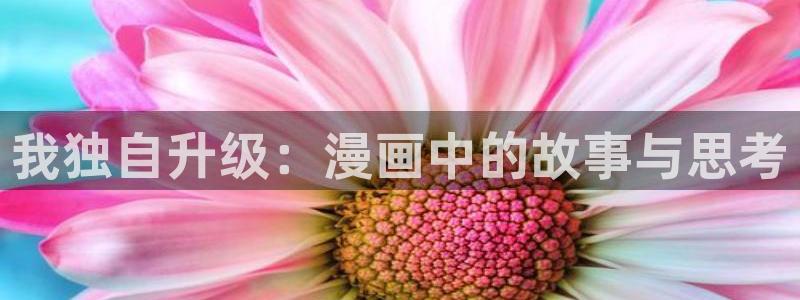 51漫画网页版